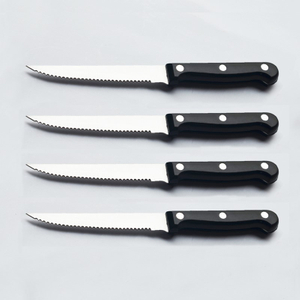 Plastic Promotional Steak Knife