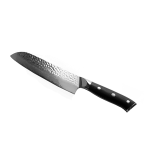 VG10 Damascus Knife