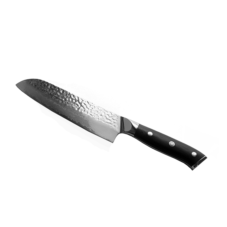 VG10 Damascus Knife