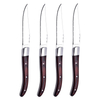 Pakka Wood Steak Knife Mirror Finish