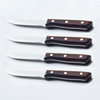 Pakka Wood Steak Knife Set S/4