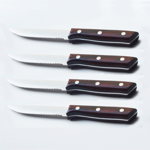 Pakka Wood Steak Knife Set S/4