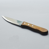 Pakka Steak Knife High Quality