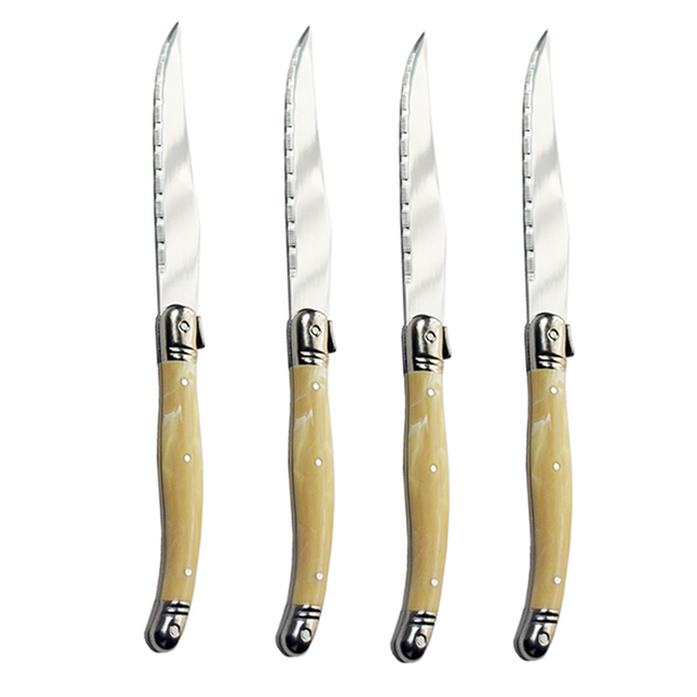 Professional Steak Knife With Pp Handle