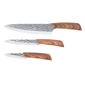 Plastic Handle Mirror Kitchen Knives