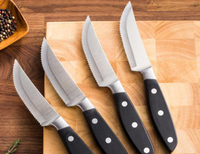 //irrorwxhjppilr5p.ldycdn.com/cloud/pnBprKojloSRolominpjkp/steak-knife2.jpg