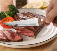 //irrorwxhjppilr5p.ldycdn.com/cloud/ppBprKojloSRolqmmopnkm/steak-knife.jpg