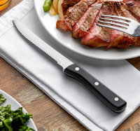 //irrorwxhjppilr5p.ldycdn.com/cloud/pqBprKojloSRpllmljiikq/steak-knife6.jpg